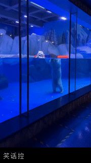 头身分离 头身分离