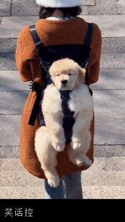 会不会勒得慌