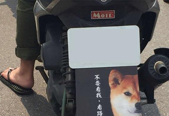 不要崇拜哥哥只是一个传说 不要崇拜哥哥只是一个传说
