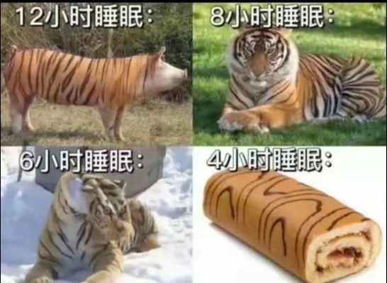 轻松一刻:假如蜘蛛懂爱情,织网织到不能停! 轻松一刻:假如蜘蛛懂爱情,织网织到不能停!