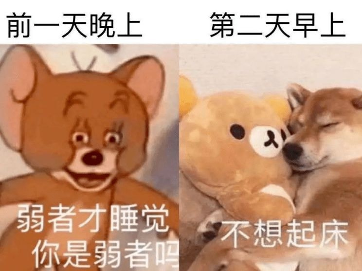 轻松一刻:假如蜘蛛懂爱情,织网织到不能停! 轻松一刻:假如蜘蛛懂爱情,织网织到不能停!