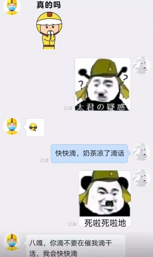 轻松一刻：假如蜘蛛懂爱情，织网织到不能停！