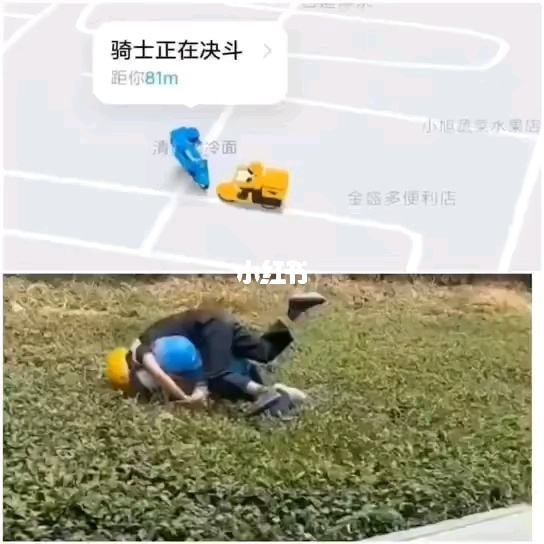 轻松一刻:假如蜘蛛懂爱情,织网织到不能停! 轻松一刻:假如蜘蛛懂爱情,织网织到不能停!