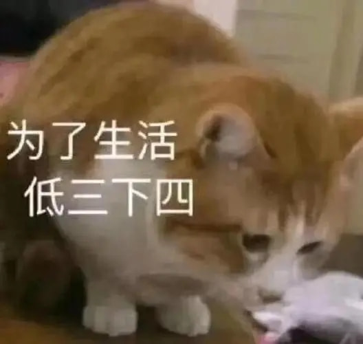 轻松一刻:假如蜘蛛懂爱情,织网织到不能停! 轻松一刻:假如蜘蛛懂爱情,织网织到不能停!