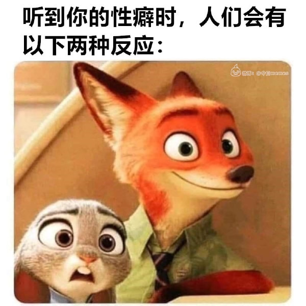轻松一刻:假如蜘蛛懂爱情,织网织到不能停! 轻松一刻:假如蜘蛛懂爱情,织网织到不能停!