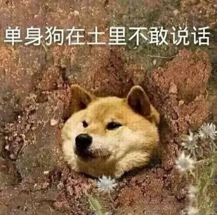 轻松一刻:假如蜘蛛懂爱情,织网织到不能停! 轻松一刻:假如蜘蛛懂爱情,织网织到不能停!
