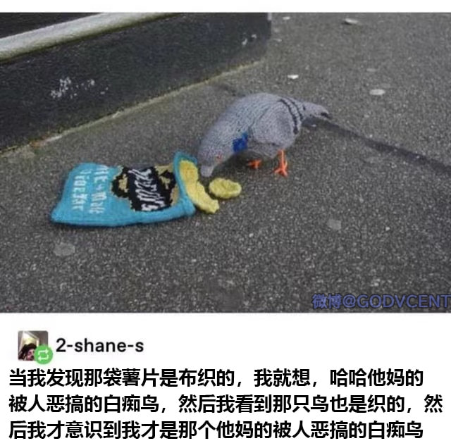 轻松一刻:假如蜘蛛懂爱情,织网织到不能停! 轻松一刻:假如蜘蛛懂爱情,织网织到不能停!