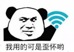 搞笑逗比的wifi名称 求一个霸气的wifi名字