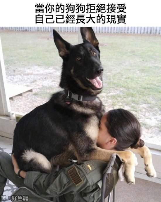 神评论:空调冷得像你前女友的心 神评论:空调冷得像你前女友的心