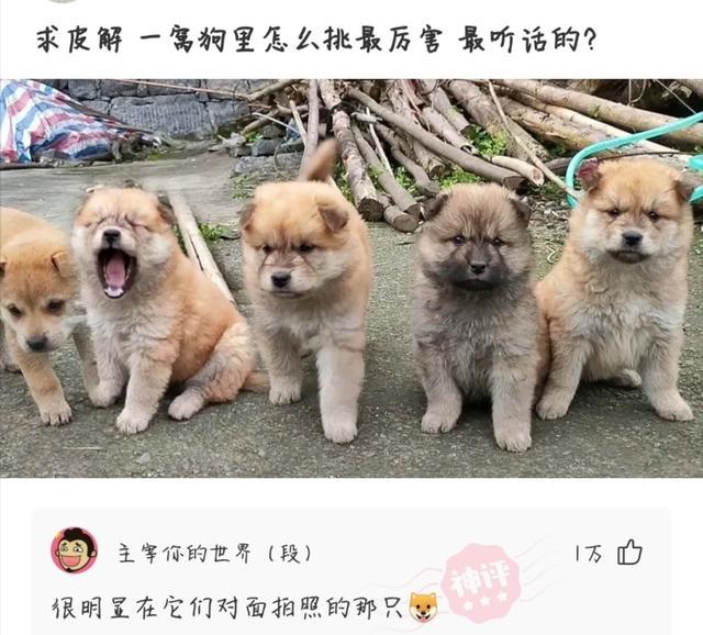 神评论:空调冷得像你前女友的心 神评论:空调冷得像你前女友的心