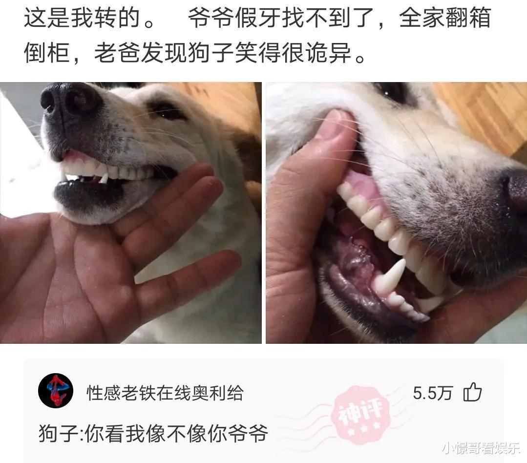 神回复:情侣之间最能引发吵架的导火线是哪一句话? 神回复:情侣之间最能引发吵架的导火线是哪一句话?