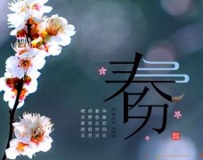 春分节气发朋友圈好听语录 2022春分节气唯美祝福说说