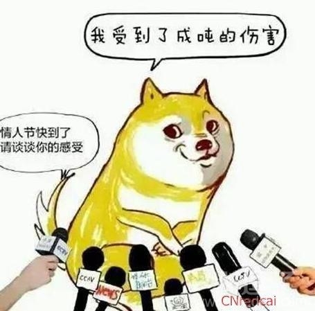 我感到了成吨的伤害