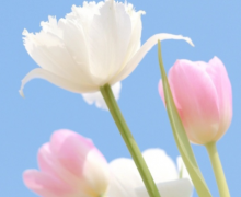 人要有追求的励志说说 致自己的简单励志语录