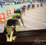 超越博尔特的10道选手即将诞生！