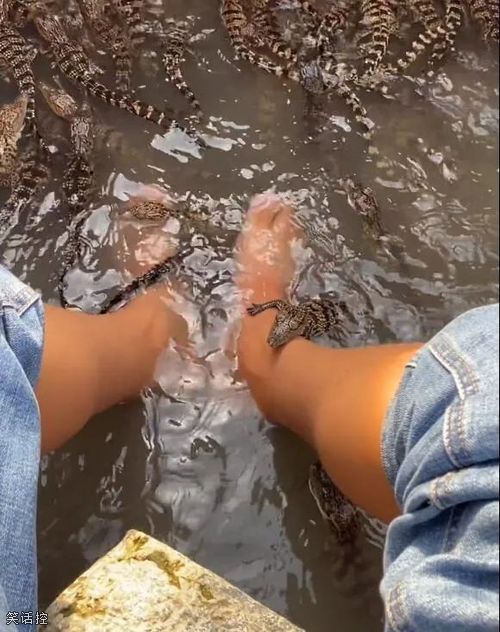 想体验一下不一样的鱼疗吗？
