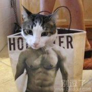 表羡慕俄的身材哦! 表羡慕俄的身材哦!