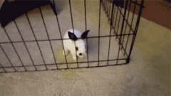 你们感受下什么叫做 你们感受下什么叫做