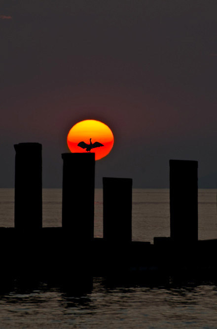 太阳之光,太阳下唯美意境图片