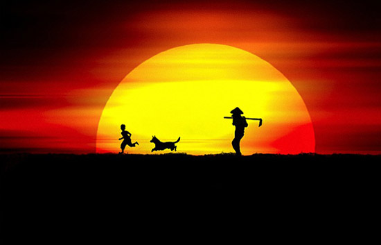 太阳之光,太阳下唯美意境图片