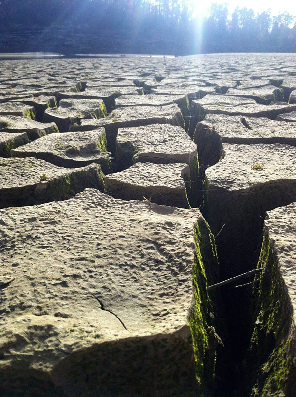 带哪些宅在家里的男女朋友们去看风景。