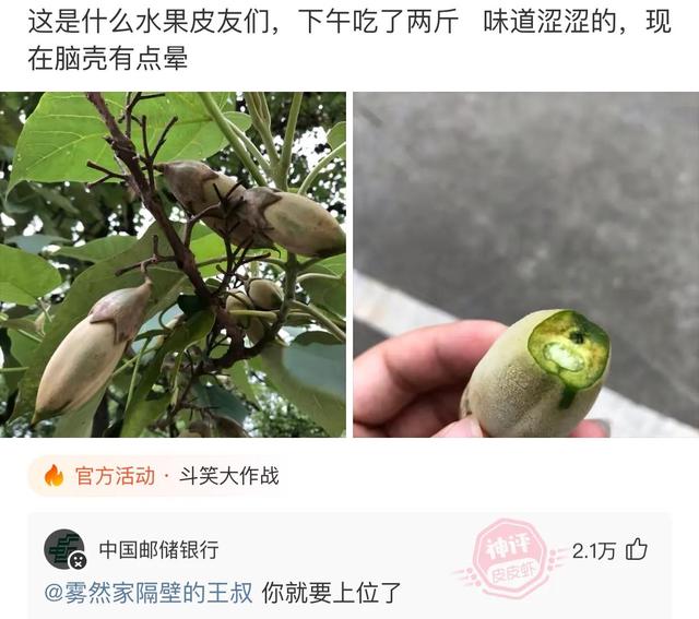 爆笑神评:结完婚的婚服,你们是怎么处理的?神评论笑喷了 爆笑神评:结完婚的婚服,你们是怎么处理的?神评论笑喷了
