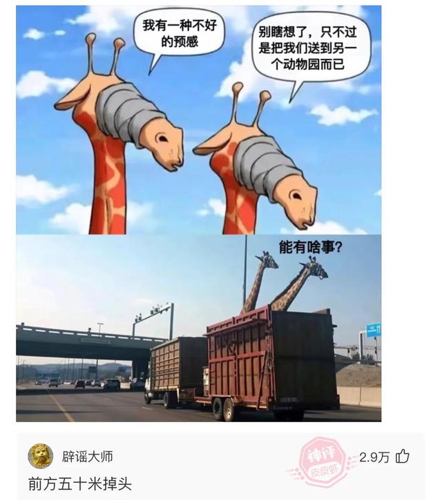 爆笑神评:结完婚的婚服,你们是怎么处理的?神评论笑喷了 爆笑神评:结完婚的婚服,你们是怎么处理的?神评论笑喷了
