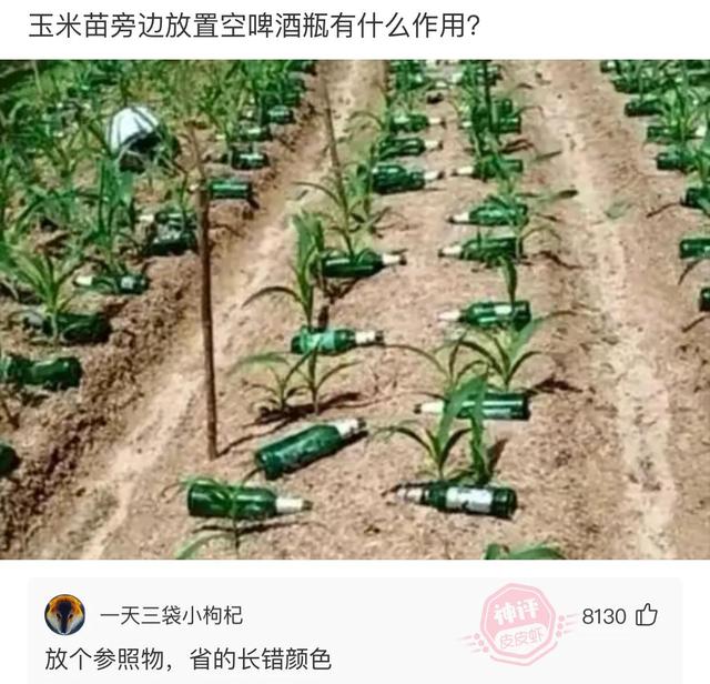 爆笑神评:结完婚的婚服,你们是怎么处理的?神评论笑喷了 爆笑神评:结完婚的婚服,你们是怎么处理的?神评论笑喷了