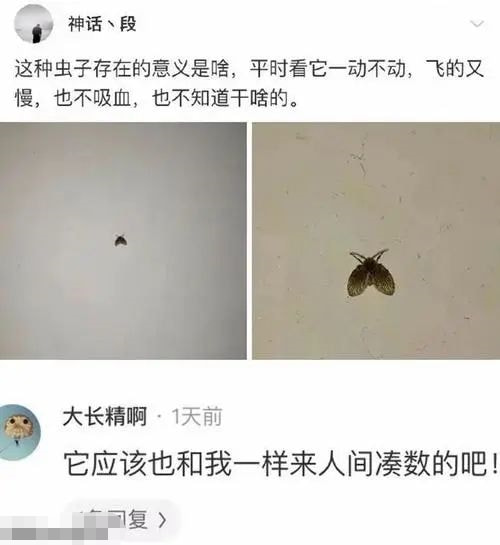 轻松一刻：1500元的生意难道是跟包小姐做的？