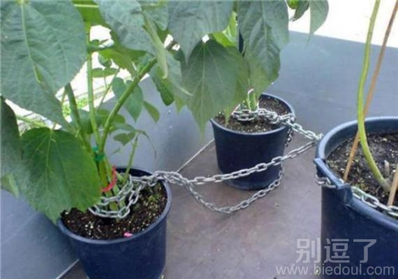 防盗装置,真是啥都偷呀 防盗装置,真是啥都偷呀