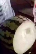 感觉好像看见了隆胸的妹子