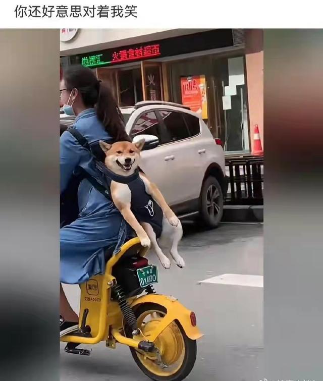 神回复:发现一个规律,娱乐圈的名字带波的人好像都不怎么走运 神回复:发现一个规律,娱乐圈的名字带波的人好像都不怎么走运