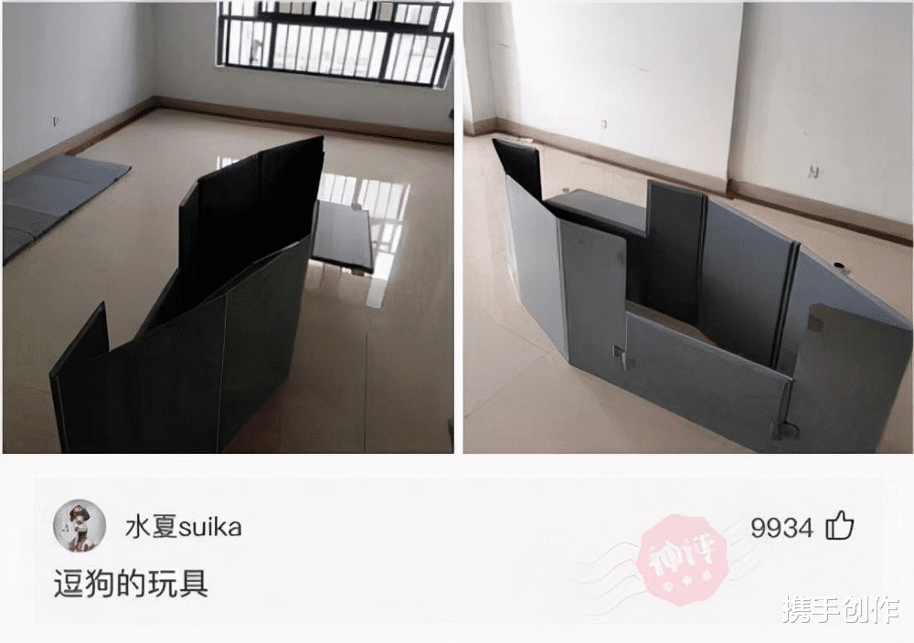 “第一次进厂,怎么追黑衣服的这个女孩?” “第一次进厂,怎么追黑衣服的这个女孩?”