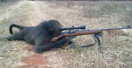 对就是这样 对发射 对就是这样 对发射