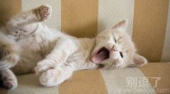 困，我要睡觉了！