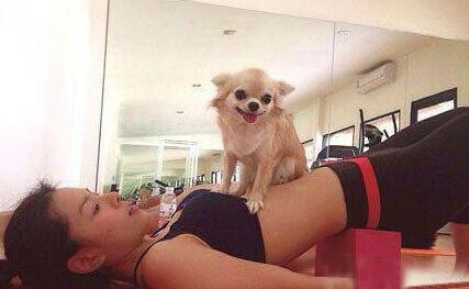 二汪,手感如何 二汪,手感如何