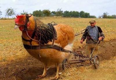 我是亲生的吗???? 我是亲生的吗????