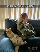 喵：反正错不在我