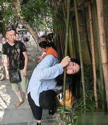 妹子你是熊猫嘛? 妹子你是熊猫嘛?