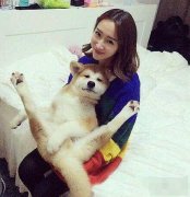 节操都给人家露出来了
