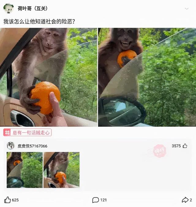 神回复:都来夸我老婆漂亮吧,不许说真棒,5分钟后给我老婆看 神回复:都来夸我老婆漂亮吧,不许说真棒,5分钟后给我老婆看