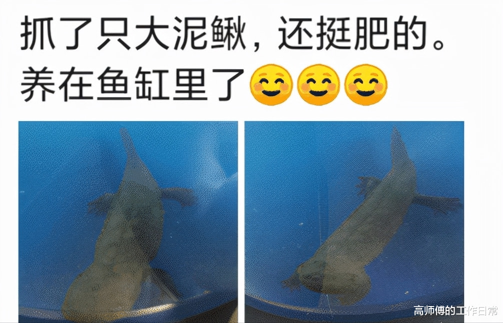 有钱人的世界我不懂!吃完酒席看到账单后,总感觉被坑了 有钱人的世界我不懂!吃完酒席看到账单后,总感觉被坑了