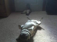 你们刚才干嘛了?? 你们刚才干嘛了??