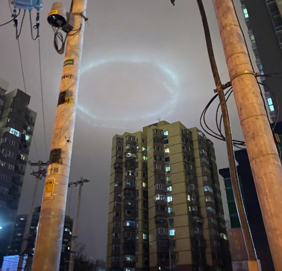 轻松一刻:今天植树节,我想栽你手里 轻松一刻:今天植树节,我想栽你手里