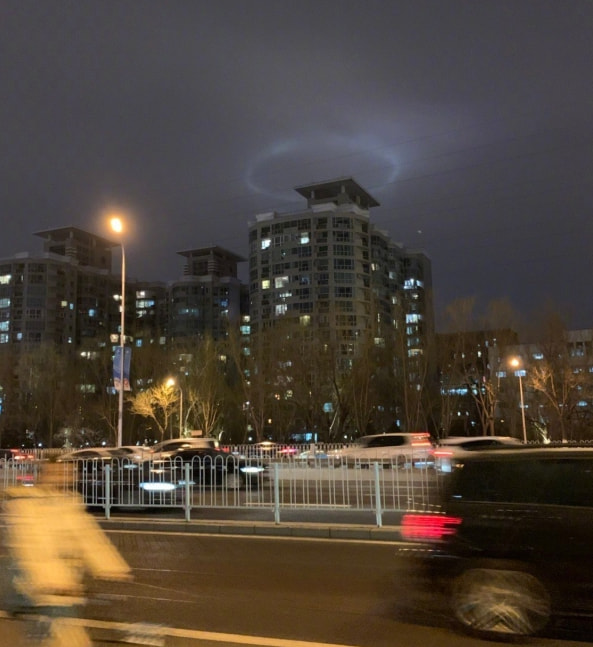 轻松一刻：今天植树节，我想栽你手里