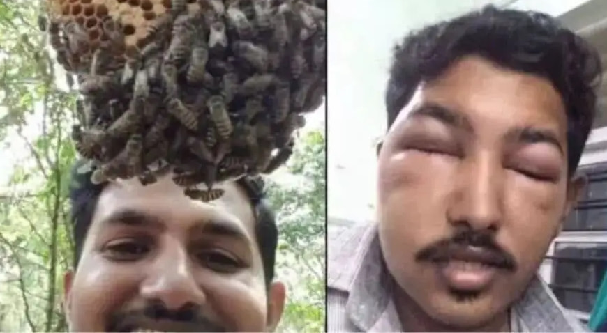 轻松一刻:今天植树节,我想栽你手里 轻松一刻:今天植树节,我想栽你手里