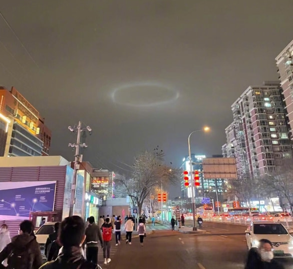 轻松一刻：今天植树节，我想栽你手里