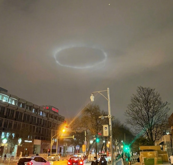 轻松一刻：今天植树节，我想栽你手里