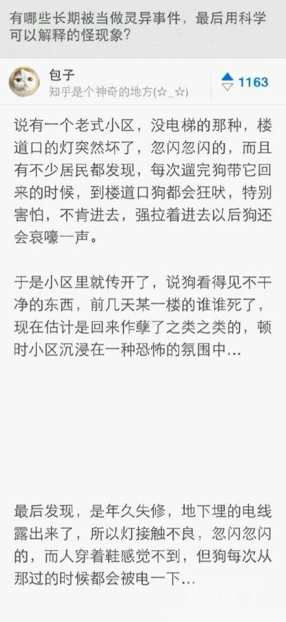 原来这才是花式虐狗 原来这才是花式虐狗