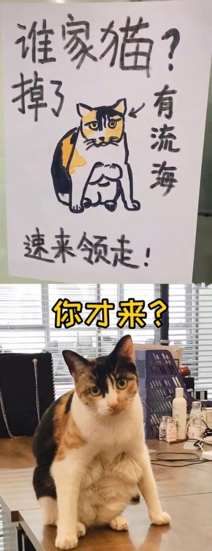 【每日十图】最火辣航班!空姐个个穿比基尼就来上班,这谁坐得住? 【每日十图】最火辣航班!空姐个个穿比基尼就来上班,这谁坐得住?